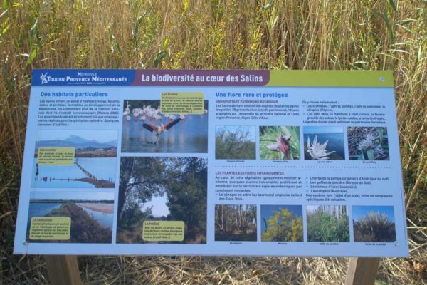 2018 - Octobre - Sortie Hyères et Salins des Pesquiers - 03