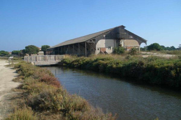 2018 - Octobre - Sortie Hyères et Salins des Pesquiers - 06