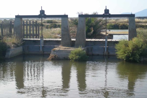 2018 - Octobre - Sortie Hyères et Salins des Pesquiers - 07