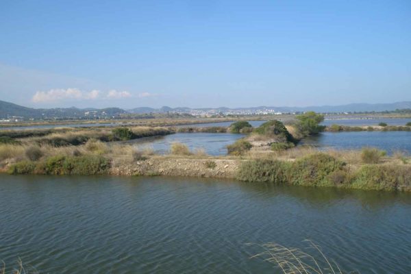 2018 - Octobre - Sortie Hyères et Salins des Pesquiers - 09