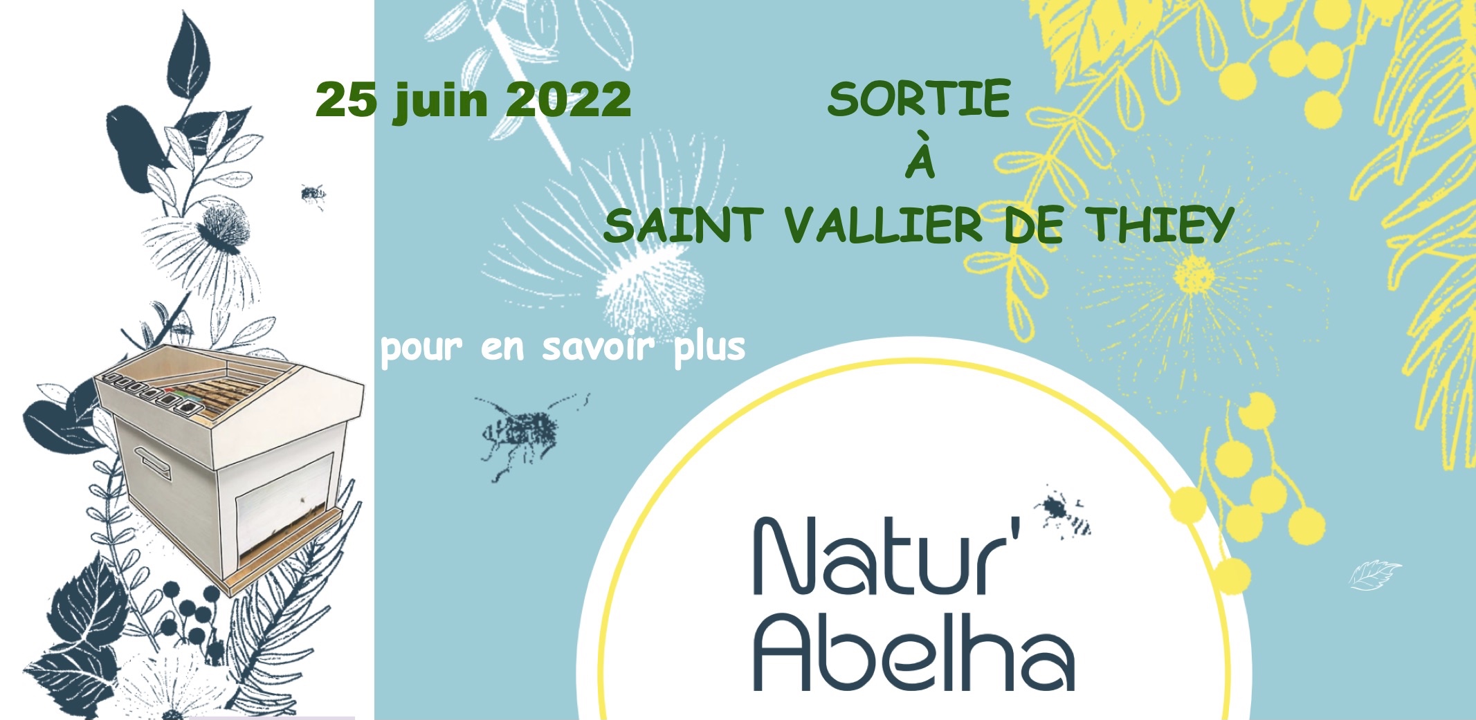 Sortie au rucher Natur’Abelha, 25 juin 2022