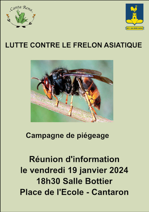 Lutte contre le frelon asiatique