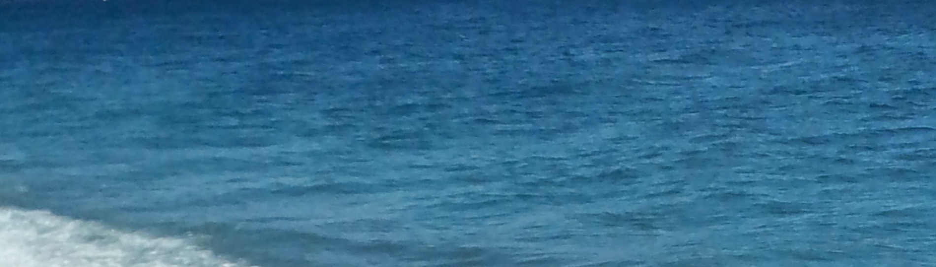 “de la mer à nos assiettes”